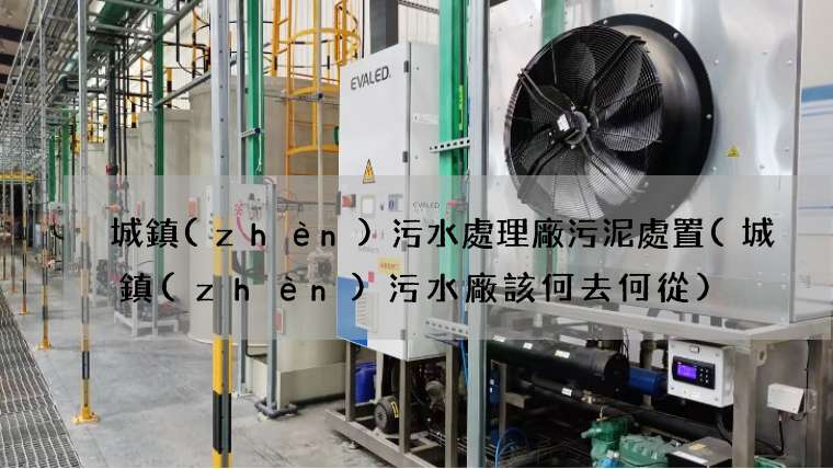 城鎮(zhèn)污水處理廠污泥處置(城鎮(zhèn)污水廠該何去何從)